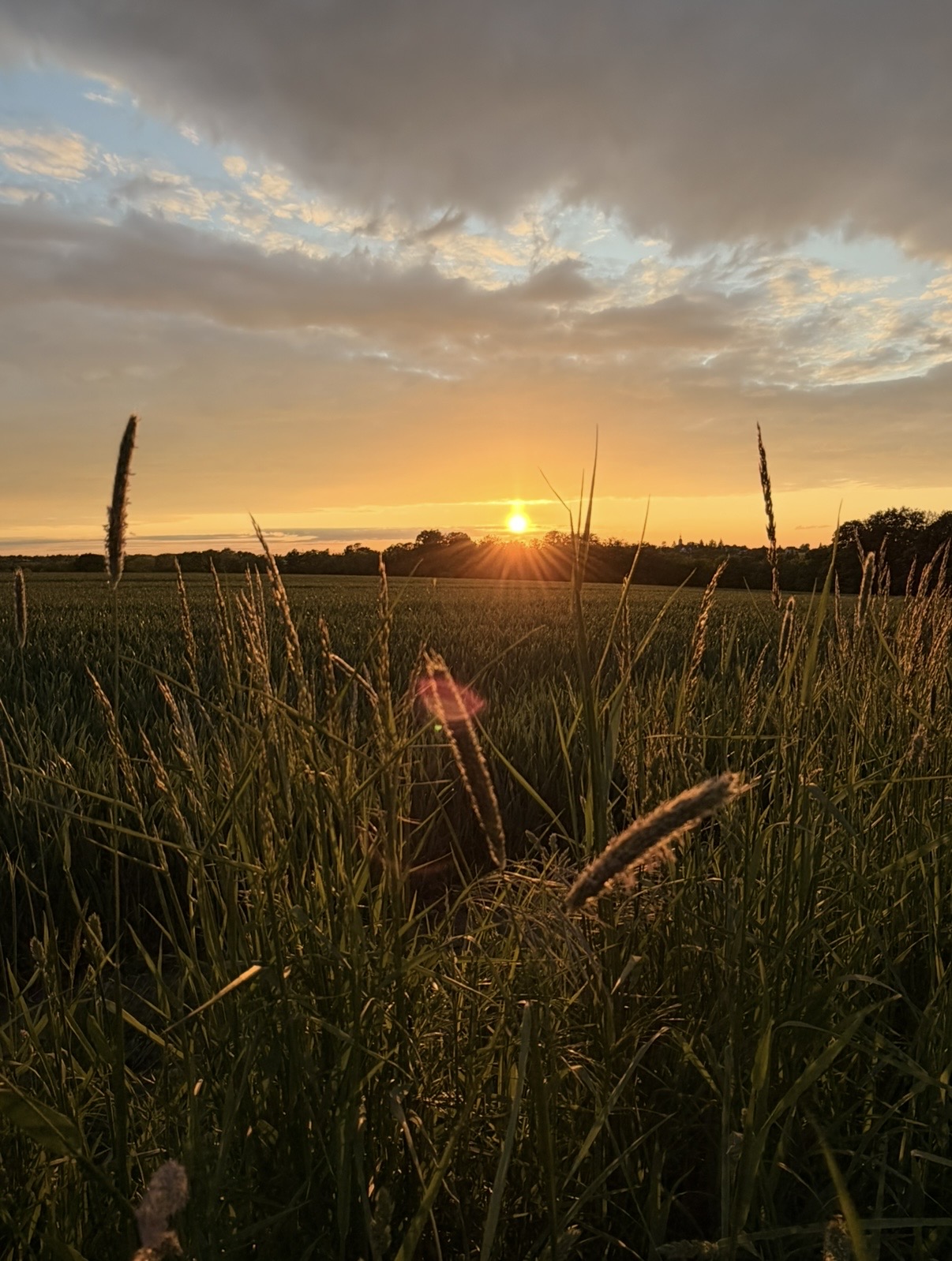 Sonnenuntergang über dem Feld – SOULinTIME®