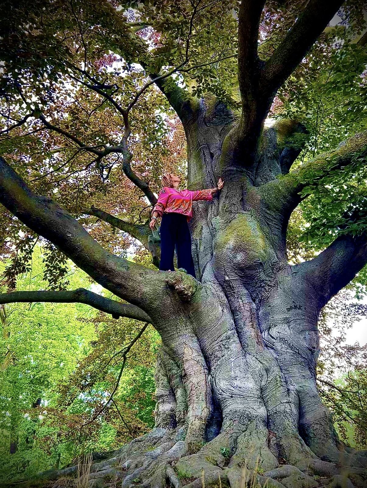 Nicole Schroth an einem alten Baum – SOULinTIME®